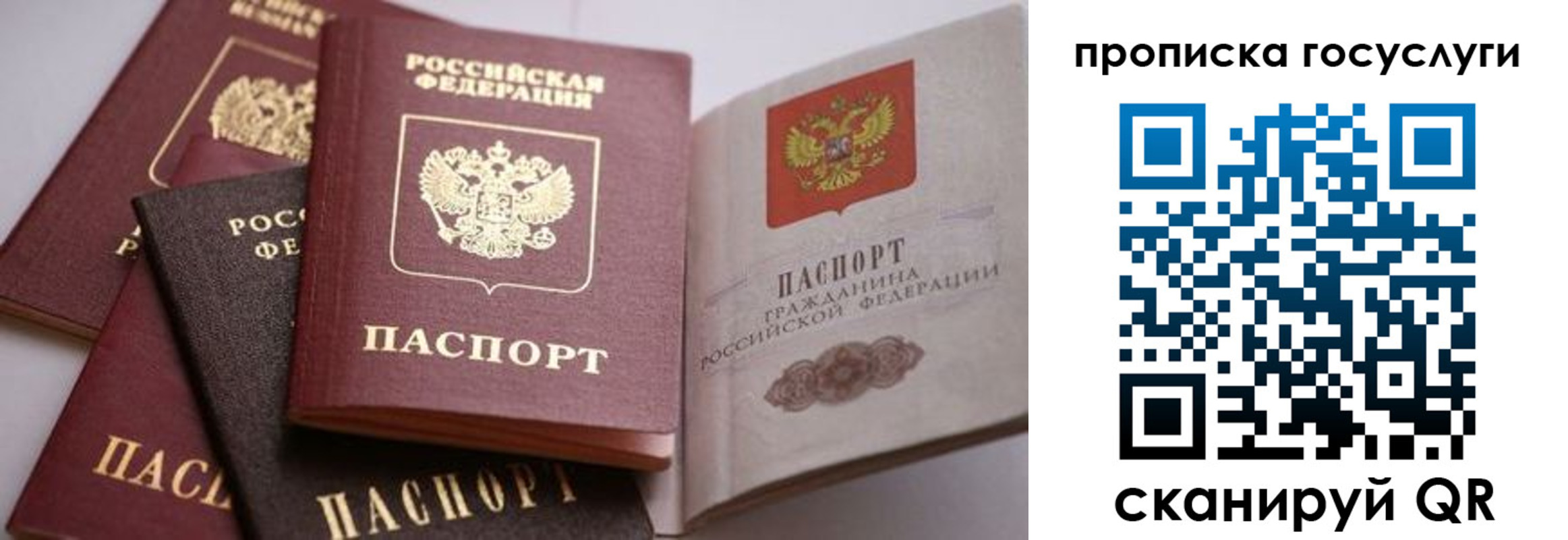 прописка иностранных граждан в Шарыпово