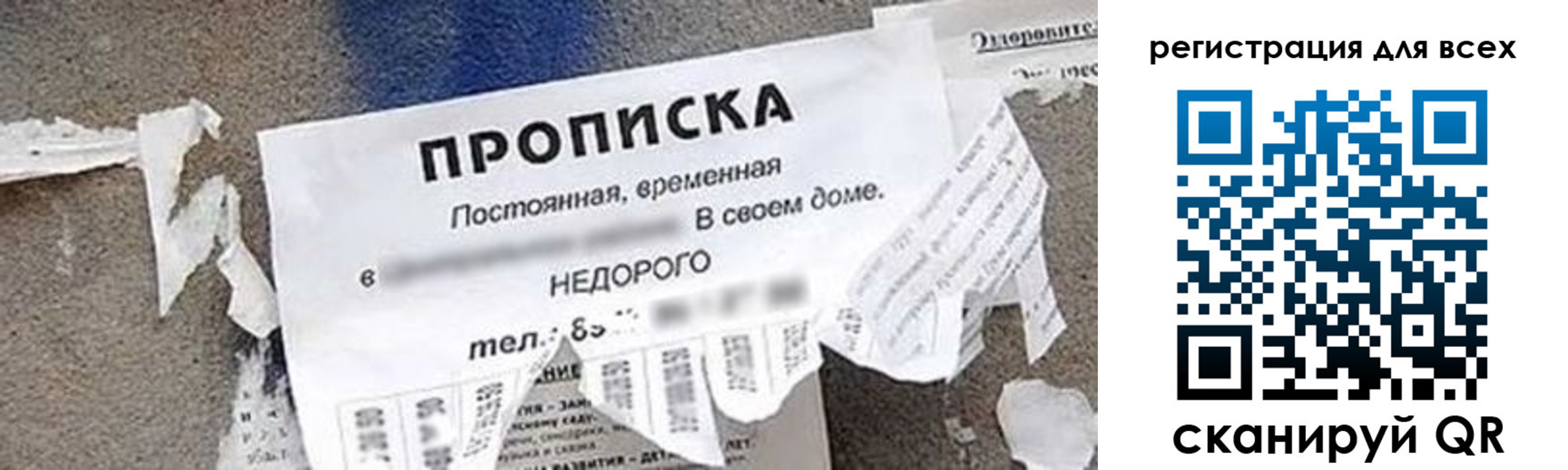 прописка поиск в Шарыпово